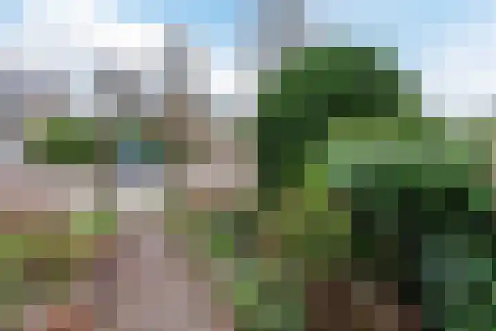 Gandhistraat 35 Hoofddorp thumbnail 37