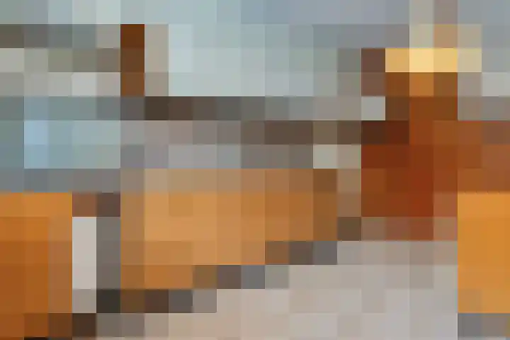 Gandhistraat 35 Hoofddorp thumbnail 9