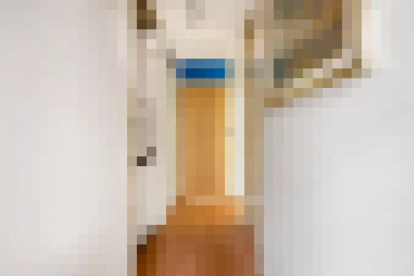 Gandhistraat 5 Hoofddorp thumbnail 20