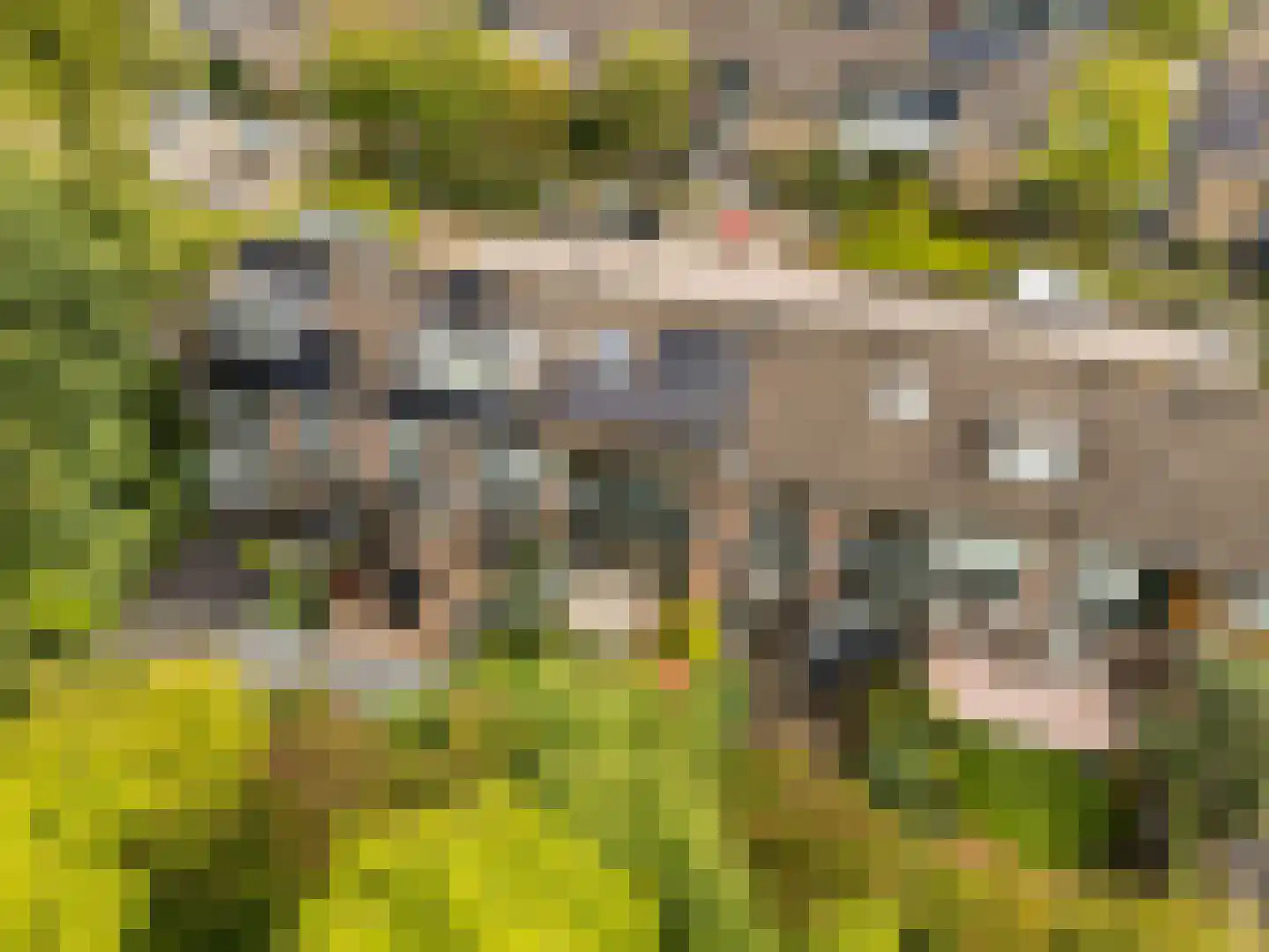 Gandhistraat 5 Hoofddorp thumbnail 35