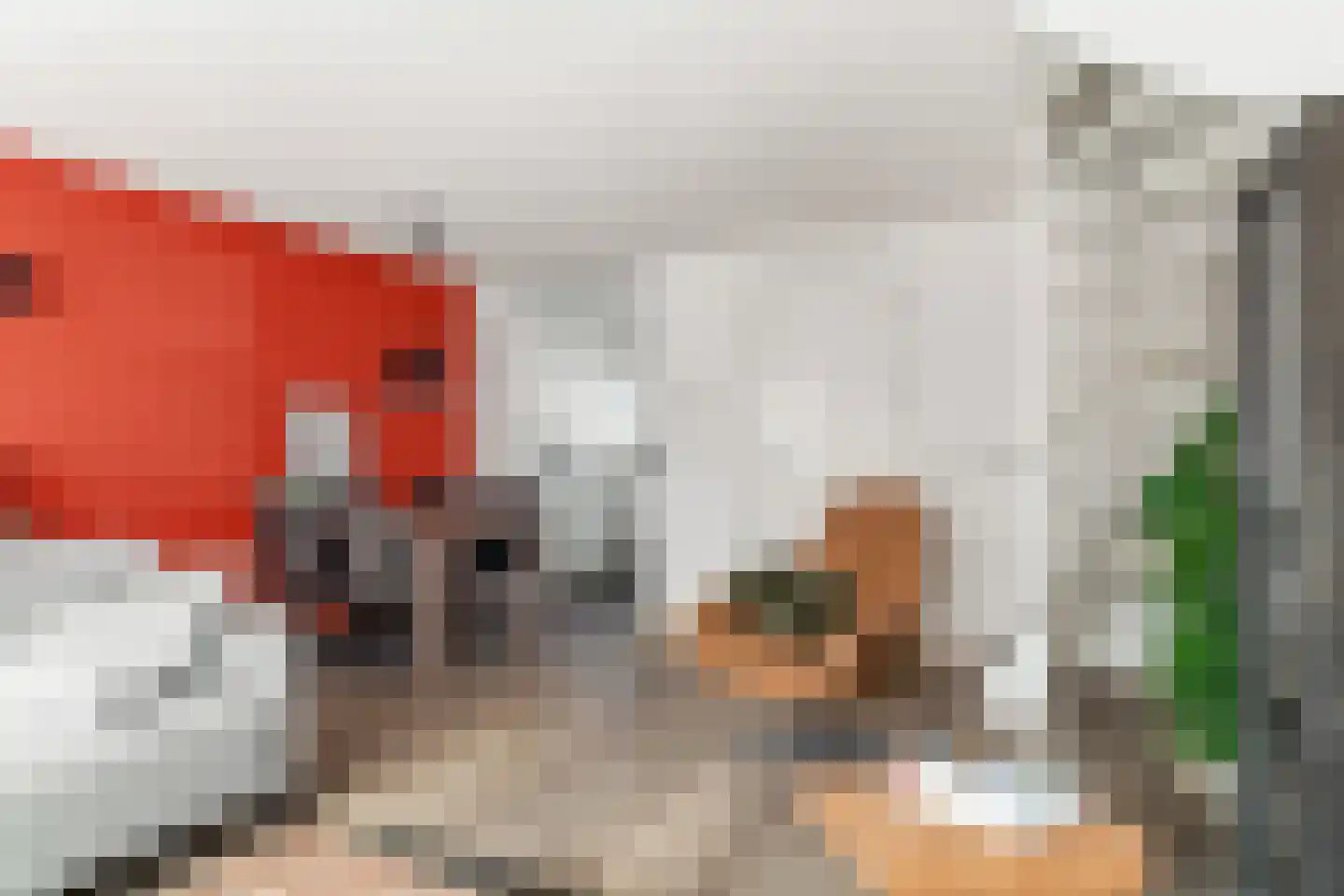 Gandhistraat 62 Zetten thumbnail 14