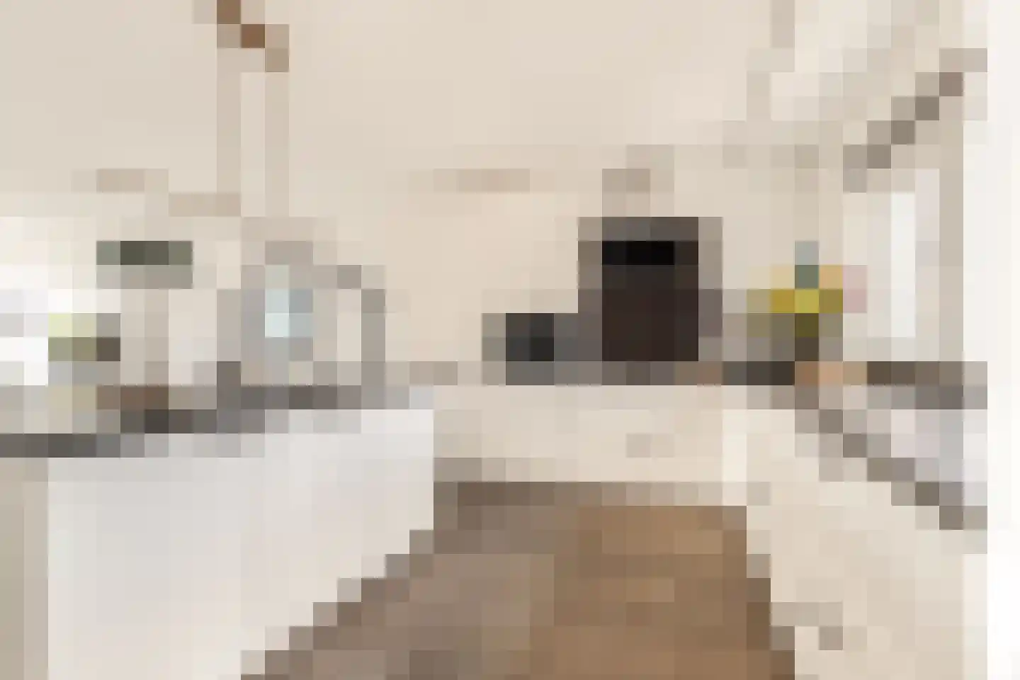Gandhistraat 67 Hoofddorp thumbnail 12