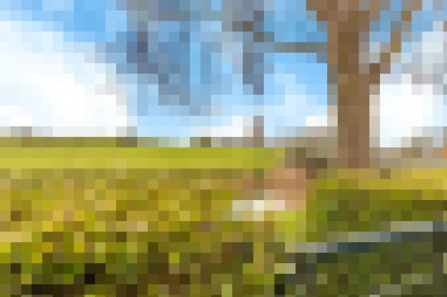 Gandhistraat 67 Hoofddorp thumbnail 28