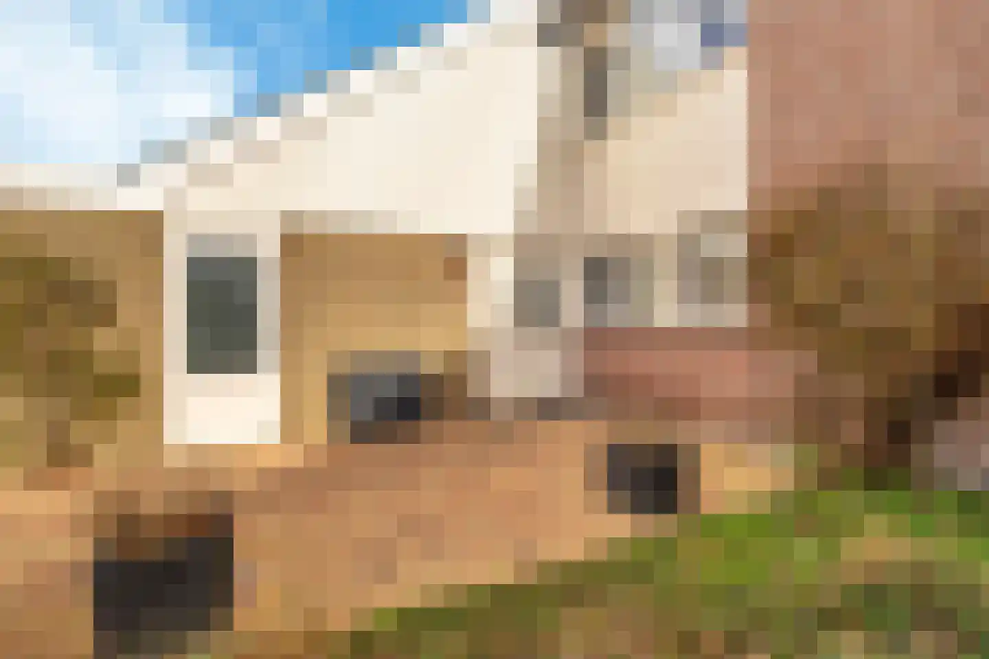 Gandhistraat 67 Hoofddorp thumbnail 8