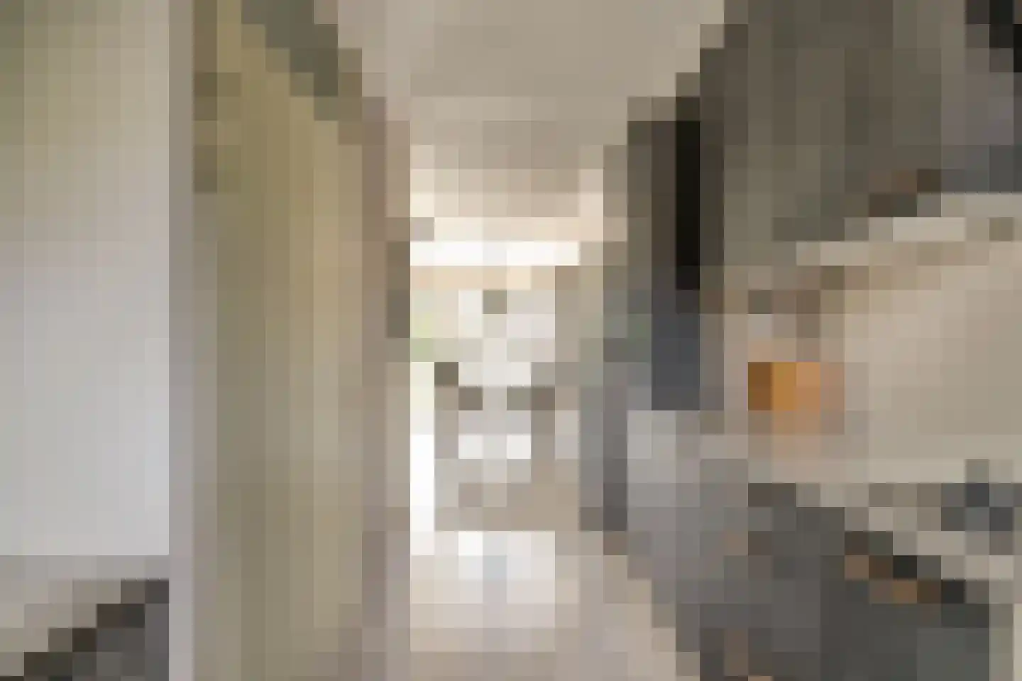 Gandhiweg 12 Gouda thumbnail 11