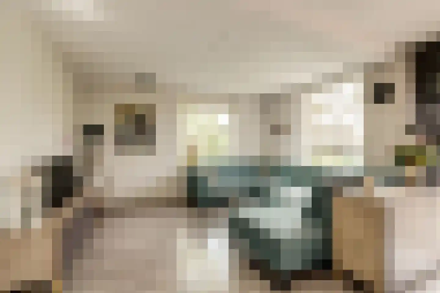Gandhiweg 12 Gouda thumbnail 13