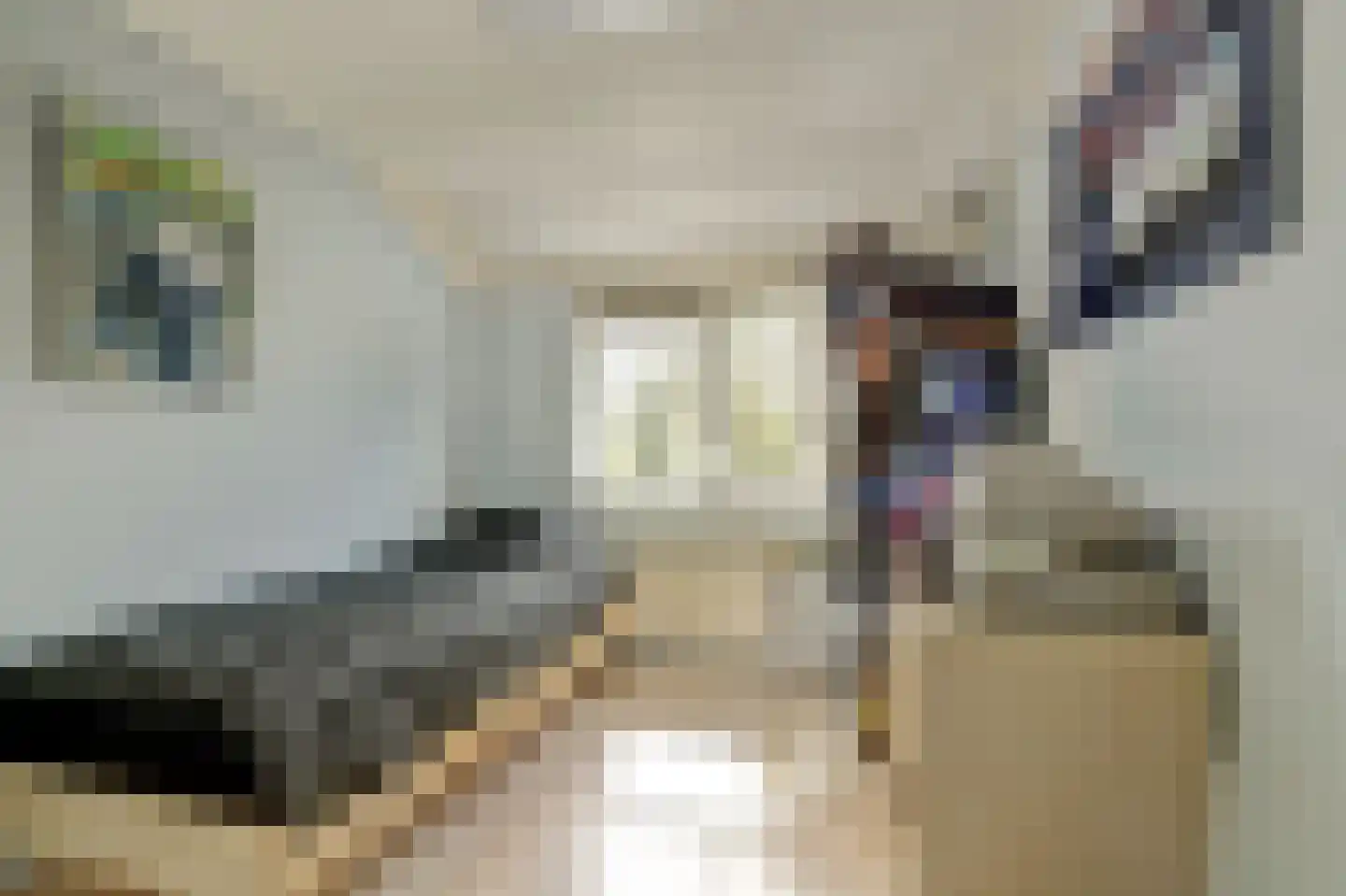 Gandhiweg 12 Gouda thumbnail 20