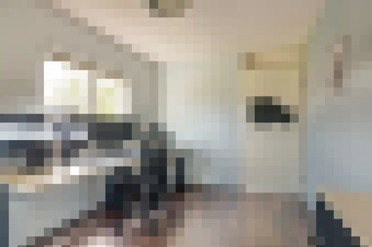 Gandhiweg 12 Gouda thumbnail 22