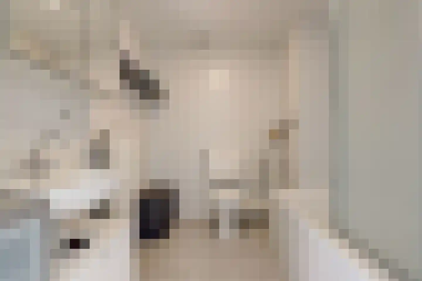Gandhiweg 12 Gouda thumbnail 23