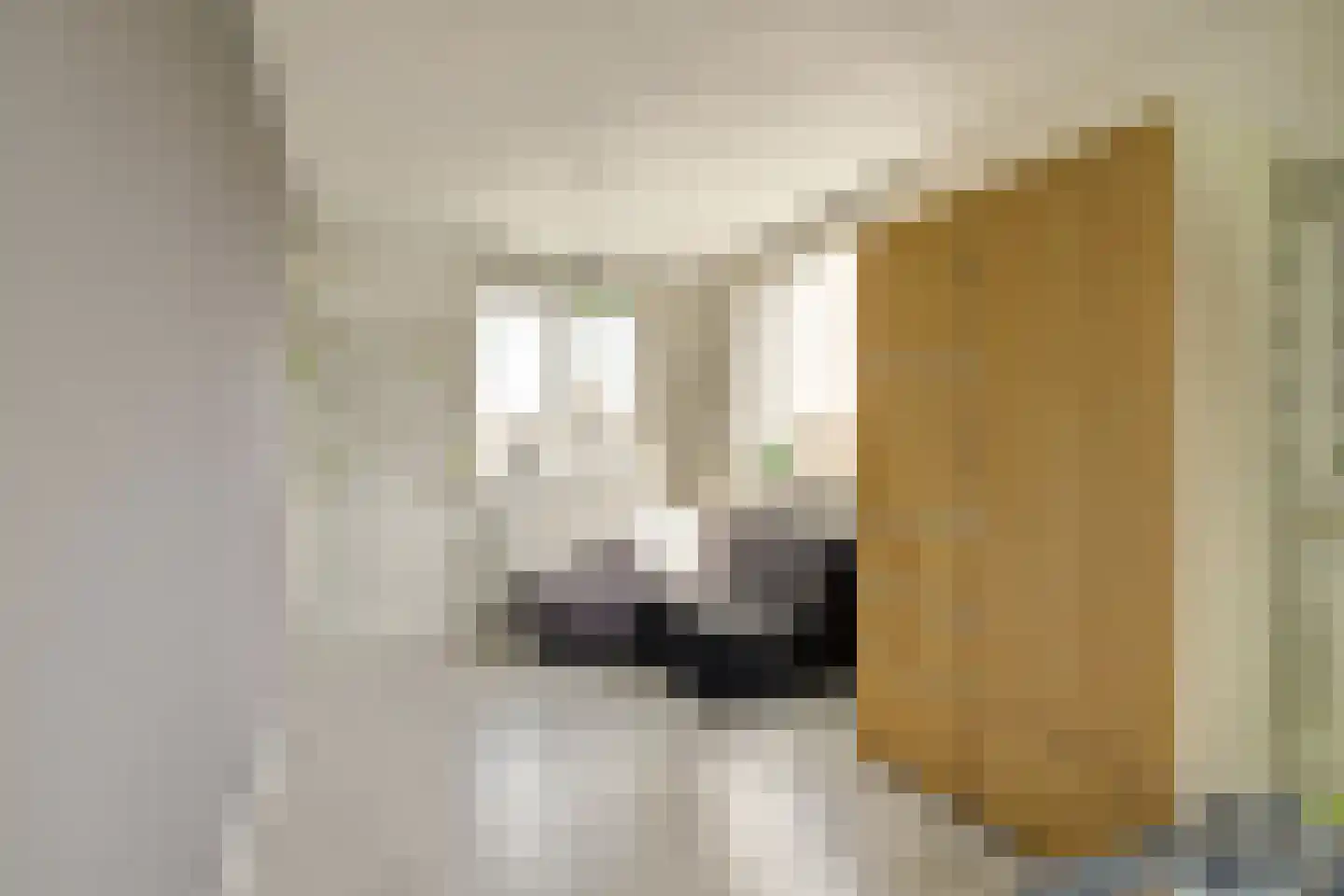Gandhiweg 12 Gouda thumbnail 30