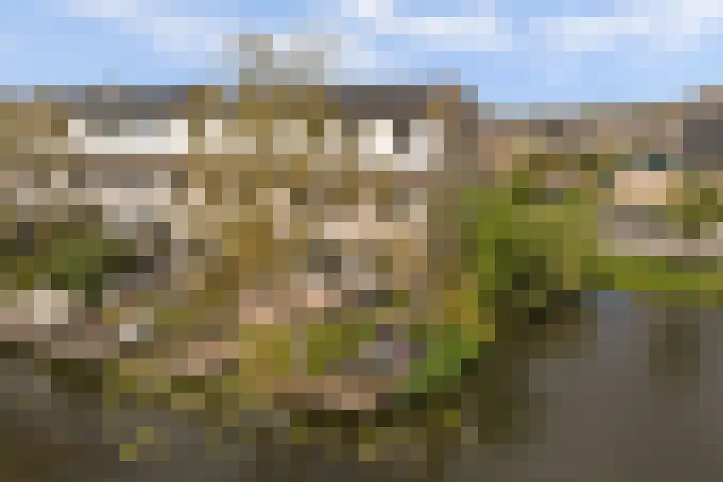 Gandhiweg 12 Gouda thumbnail 4