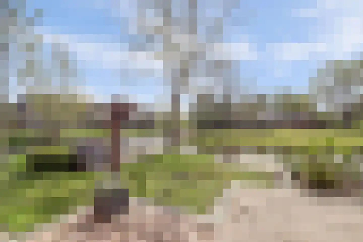 Gandhiweg 12 Gouda thumbnail 40