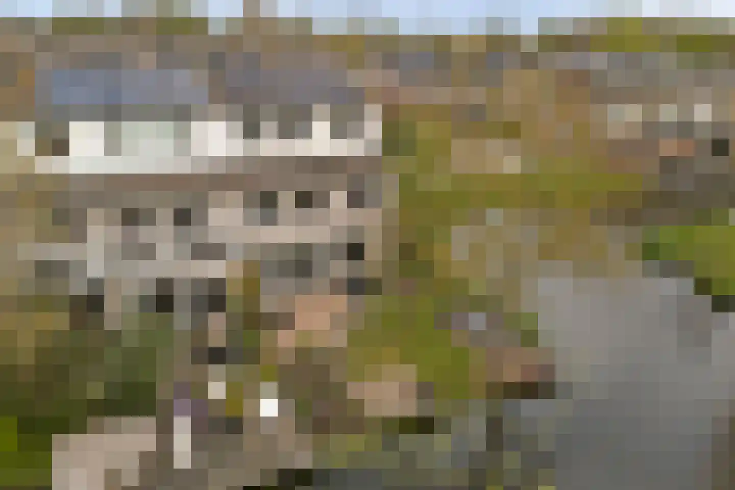 Gandhiweg 12 Gouda thumbnail 44