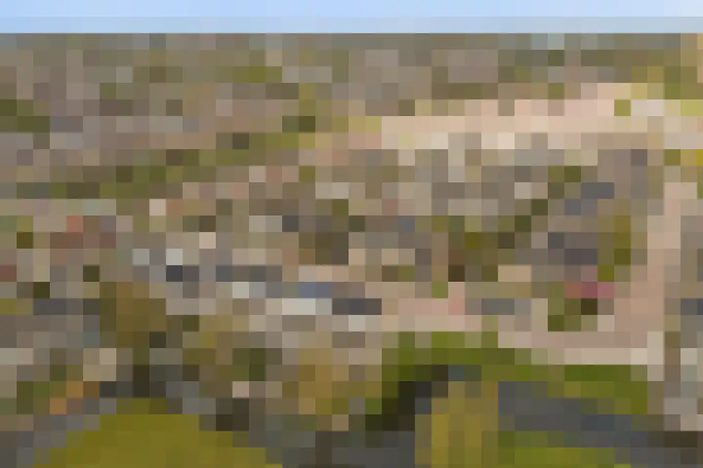 Gandhiweg 12 Gouda thumbnail 47
