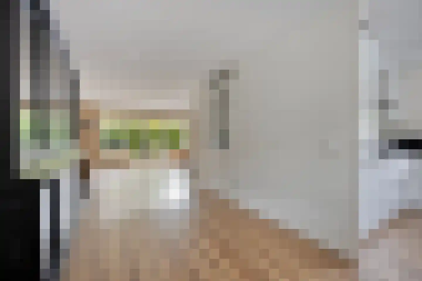 Gandhiweg 27 Gouda thumbnail 10