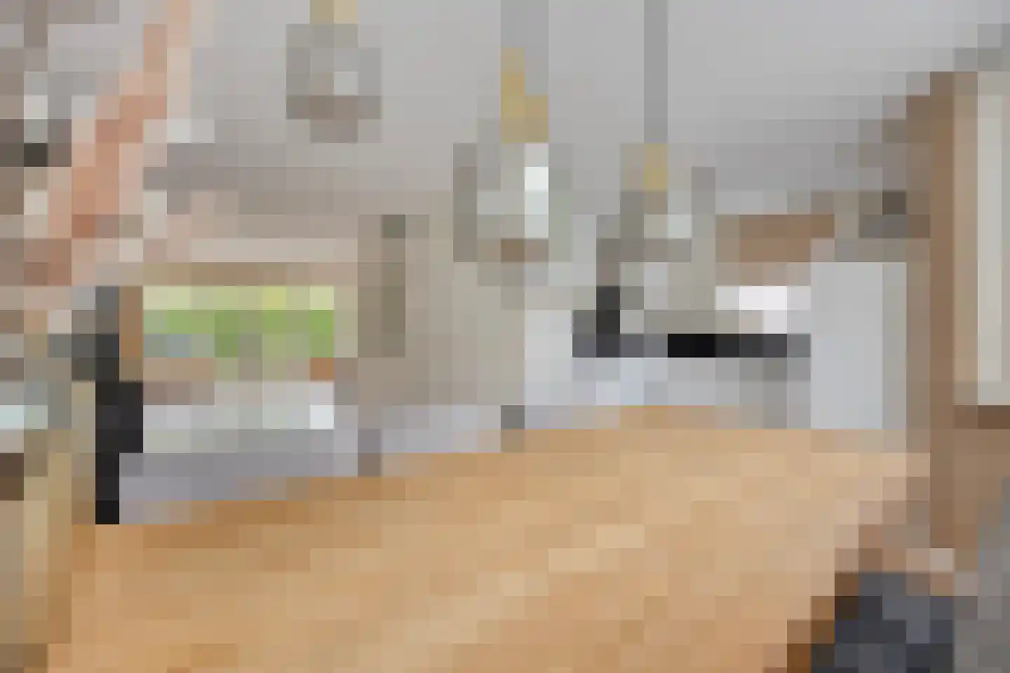 Gandhiweg 27 Gouda thumbnail 12