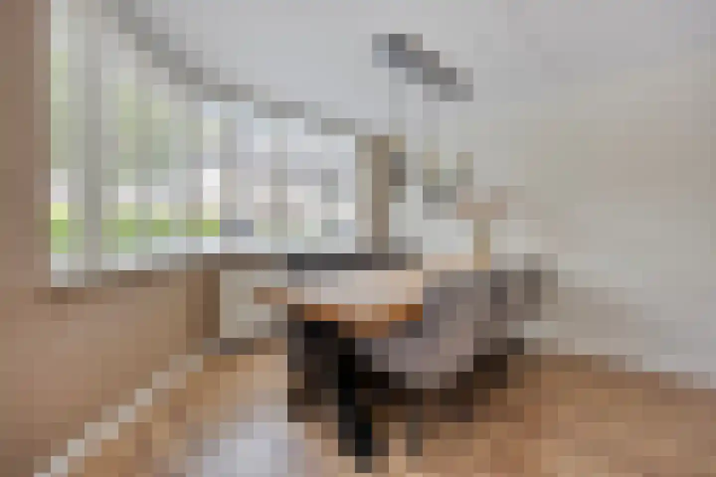 Gandhiweg 27 Gouda thumbnail 13