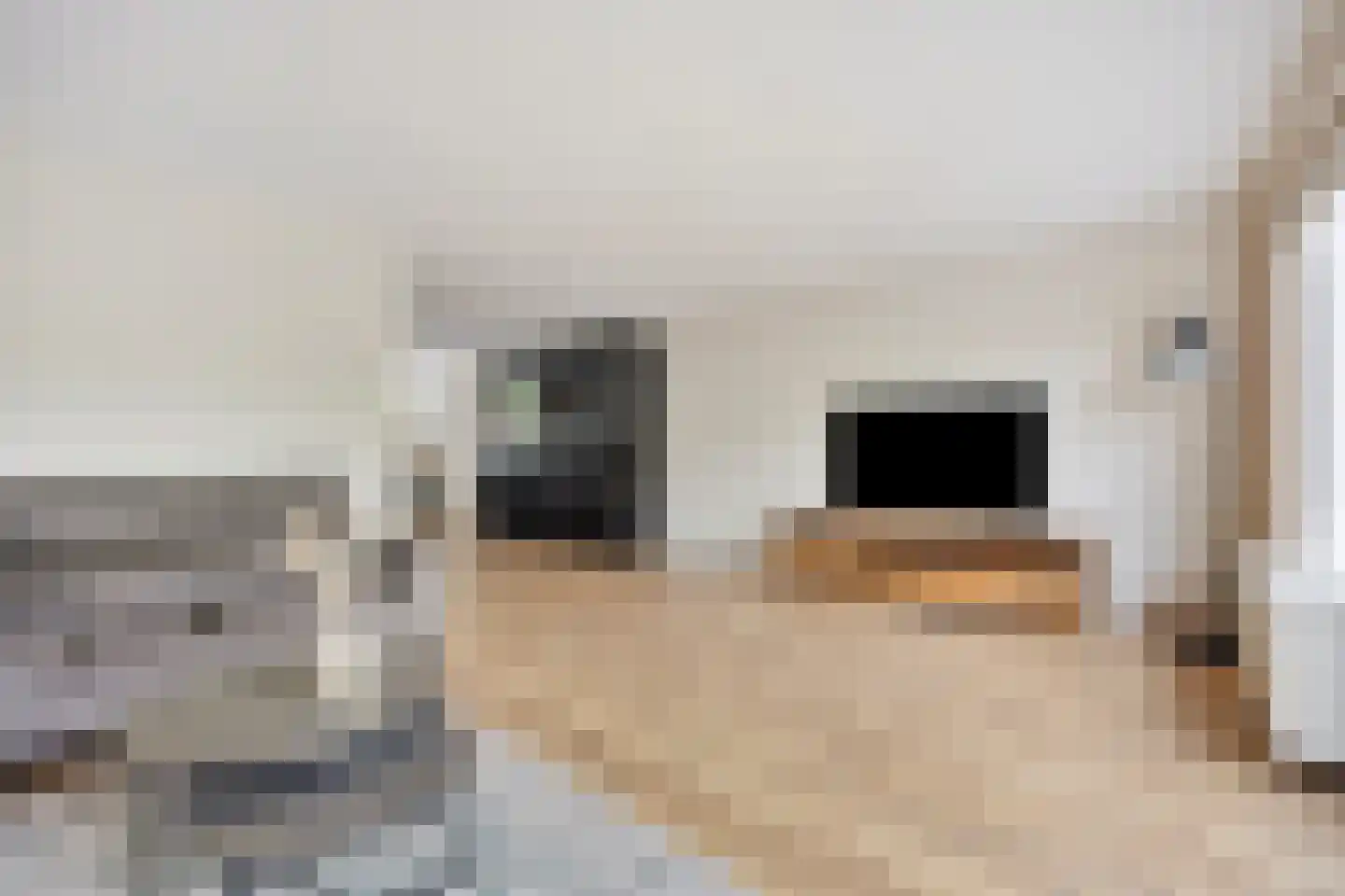 Gandhiweg 27 Gouda thumbnail 16