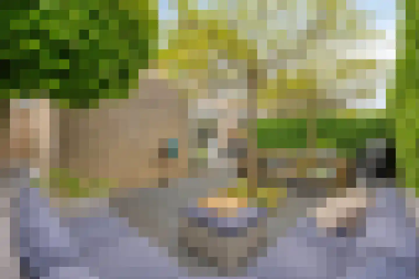 Gandhiweg 27 Gouda thumbnail 19