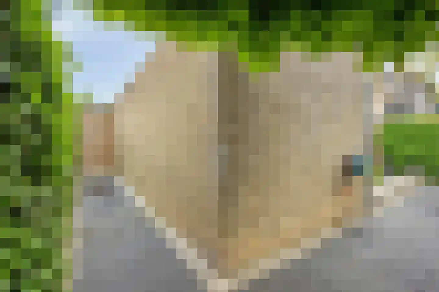 Gandhiweg 27 Gouda thumbnail 22