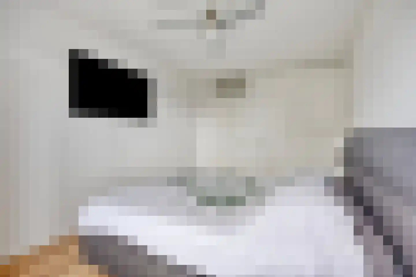 Gandhiweg 27 Gouda thumbnail 27