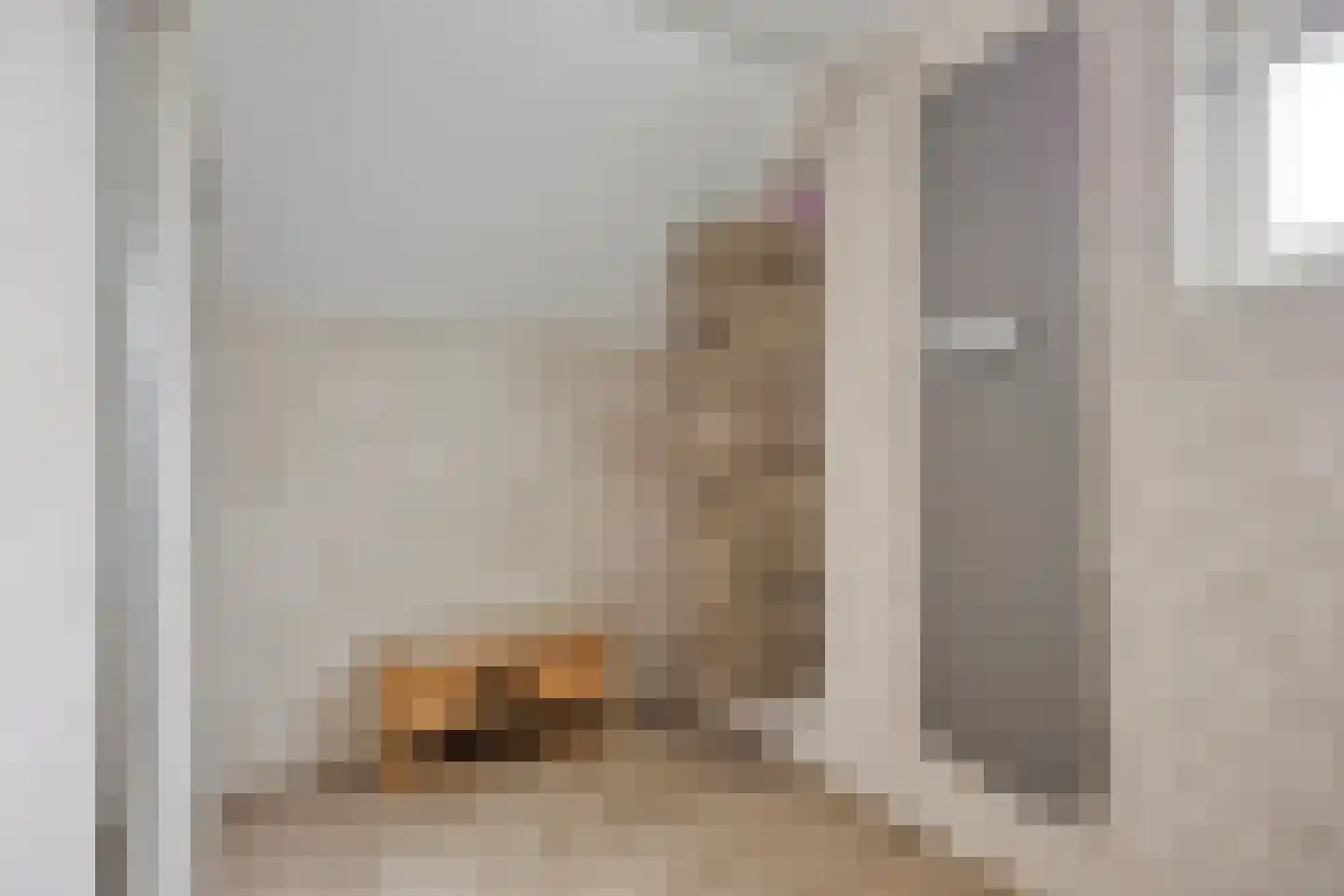 Gandhiweg 27 Gouda thumbnail 31