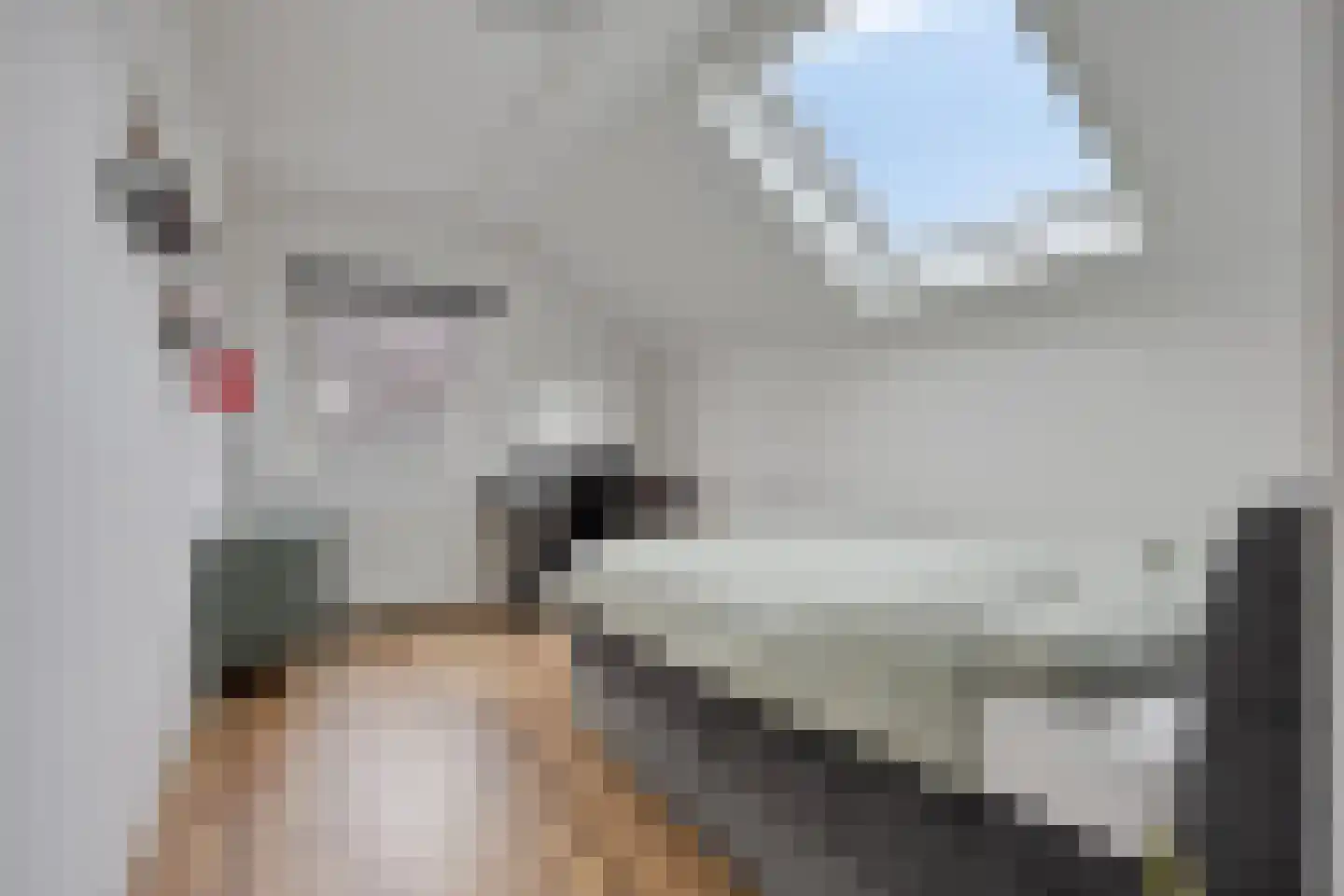Gandhiweg 27 Gouda thumbnail 32