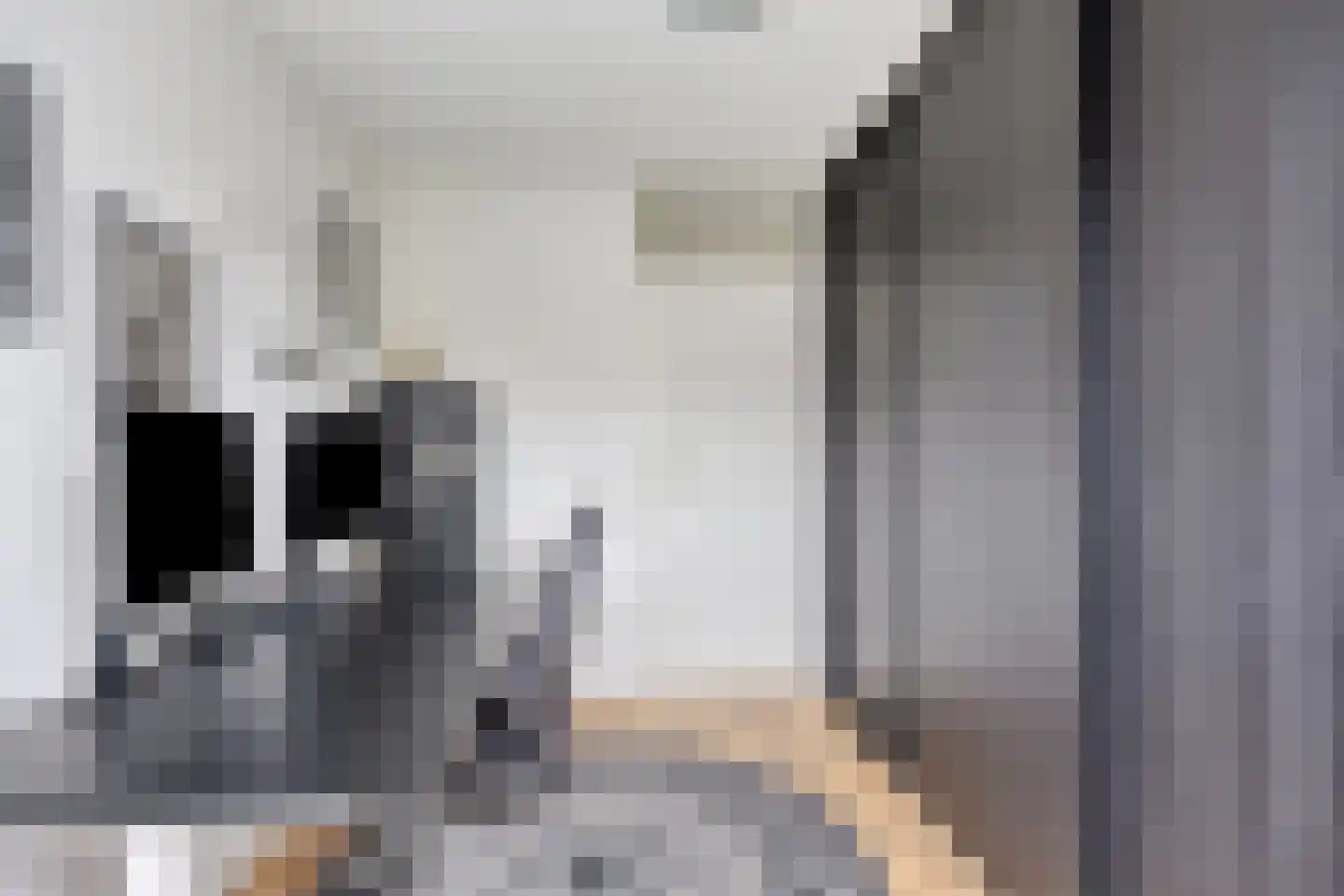 Gandhiweg 27 Gouda thumbnail 35