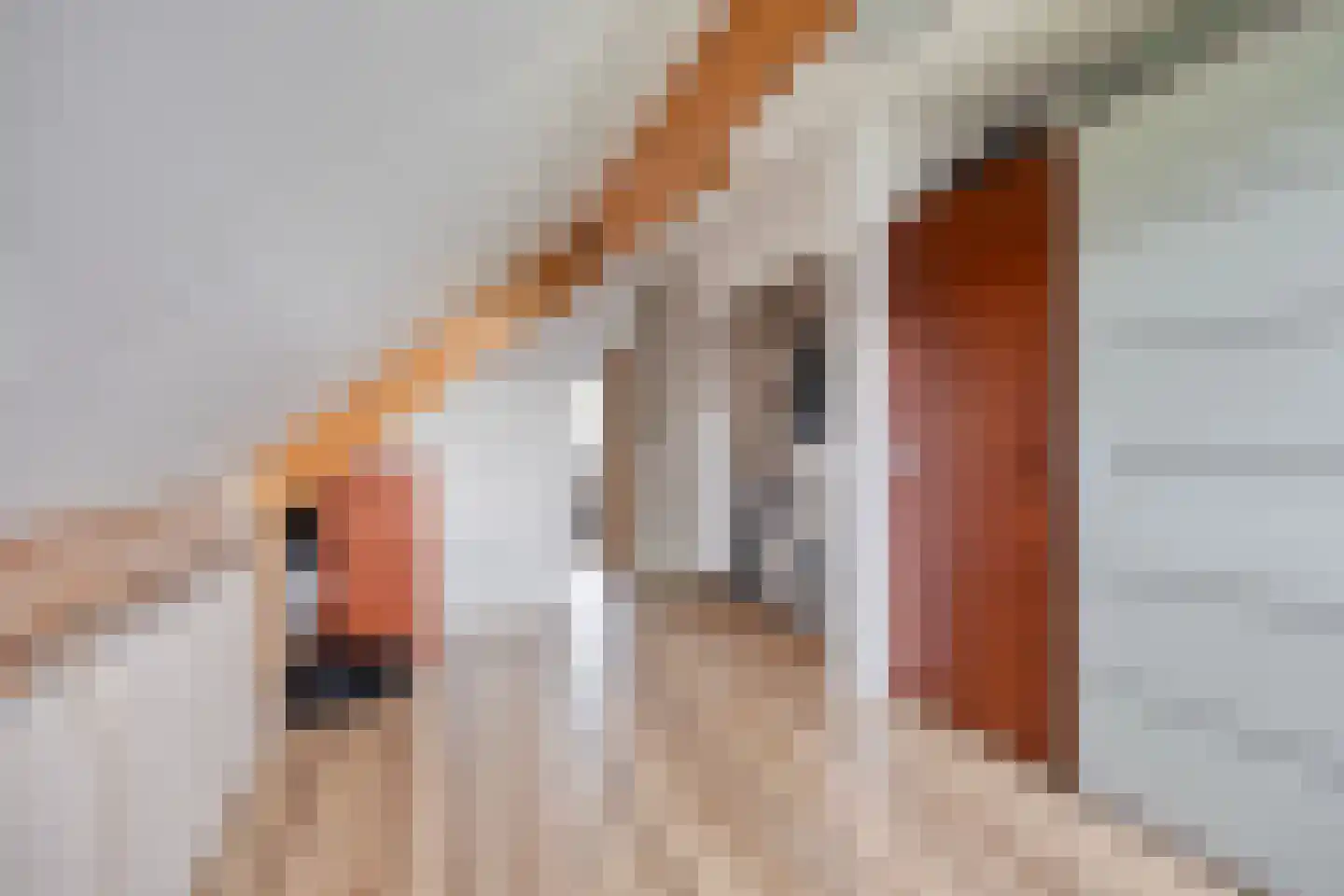 Gandhiweg 27 Gouda thumbnail 37