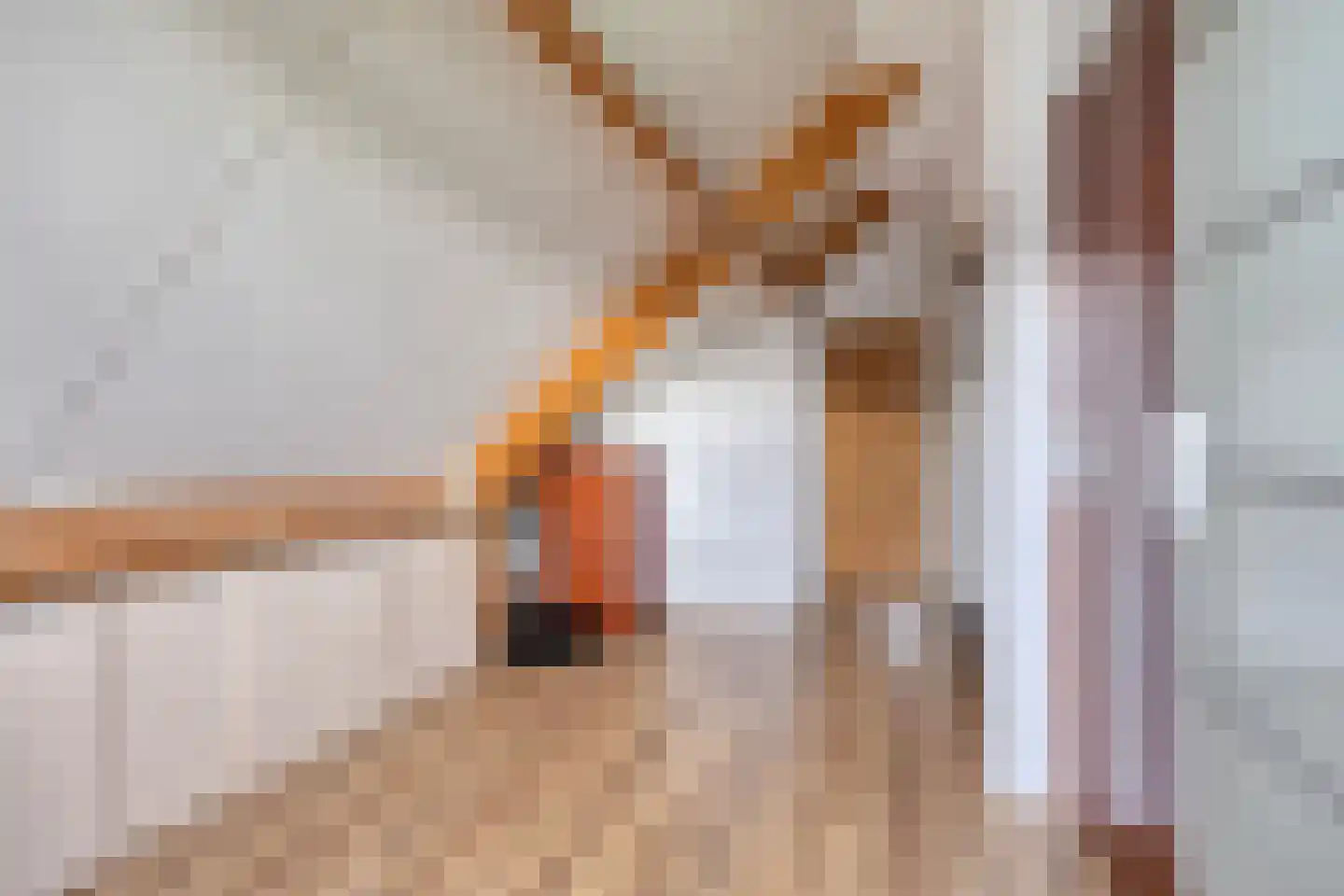Gandhiweg 27 Gouda thumbnail 38