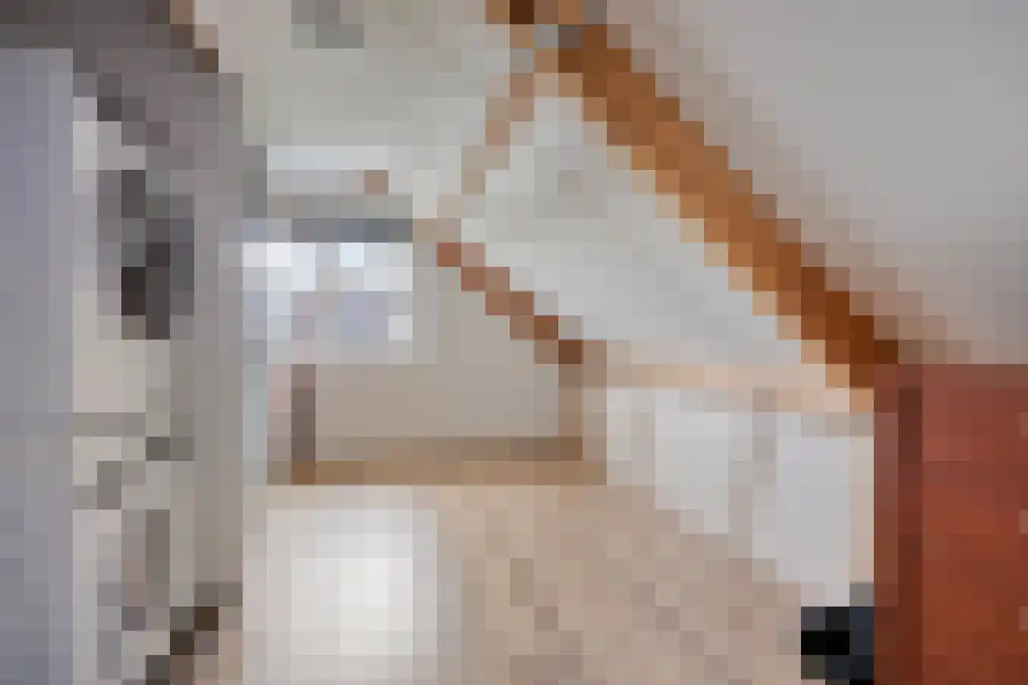 Gandhiweg 27 Gouda thumbnail 39