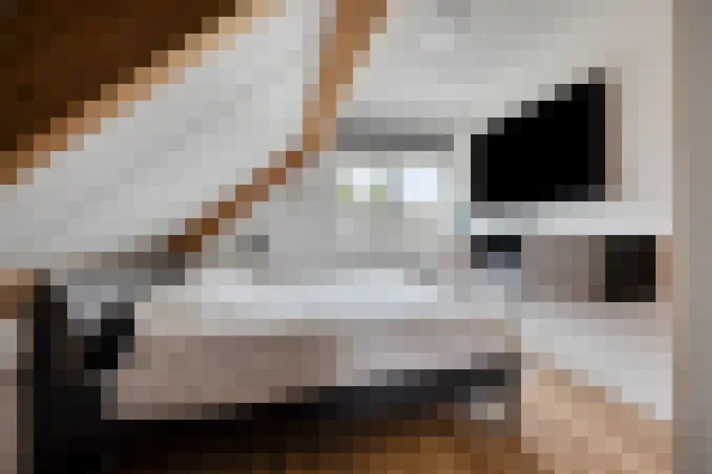 Gandhiweg 27 Gouda thumbnail 40