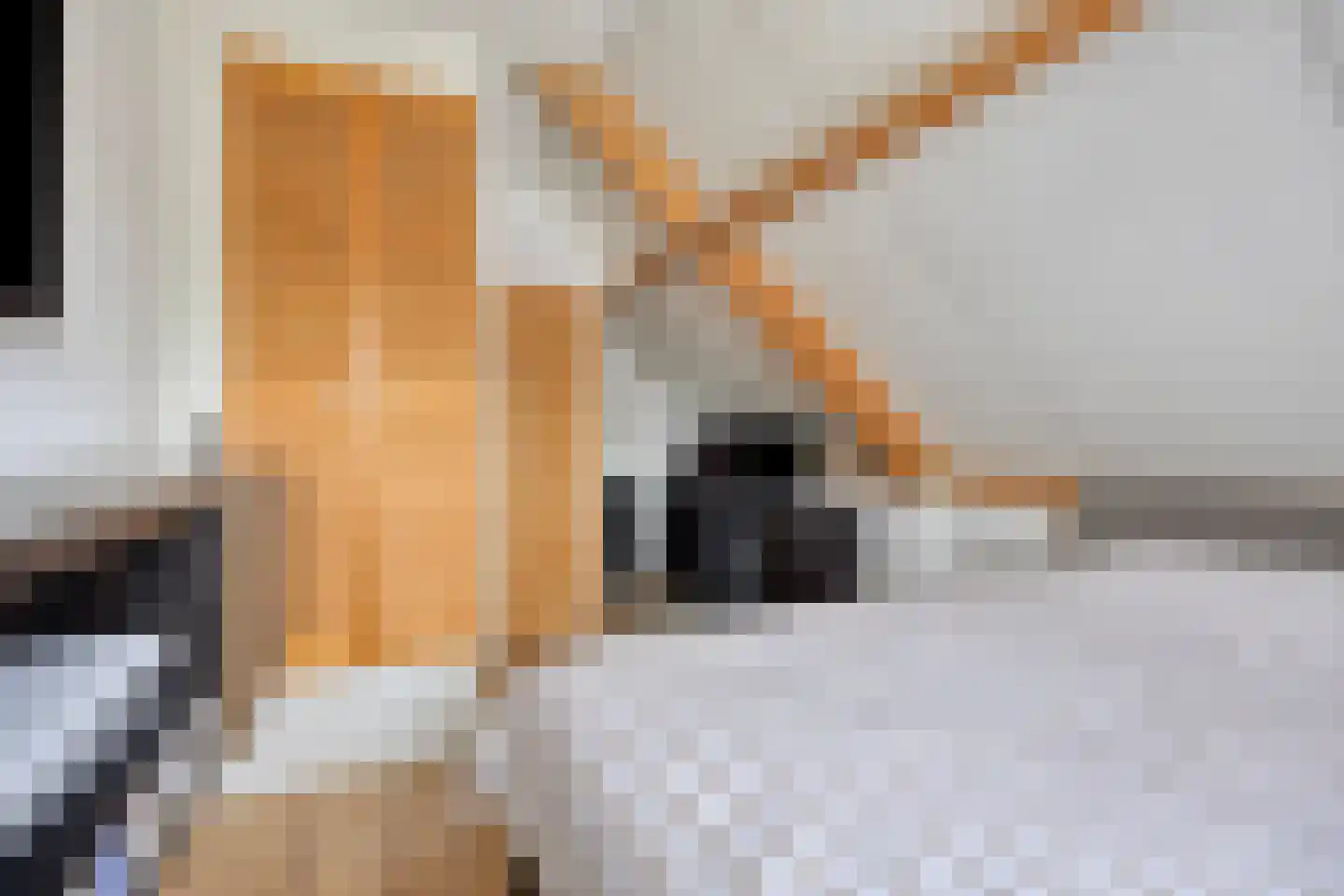 Gandhiweg 27 Gouda thumbnail 41