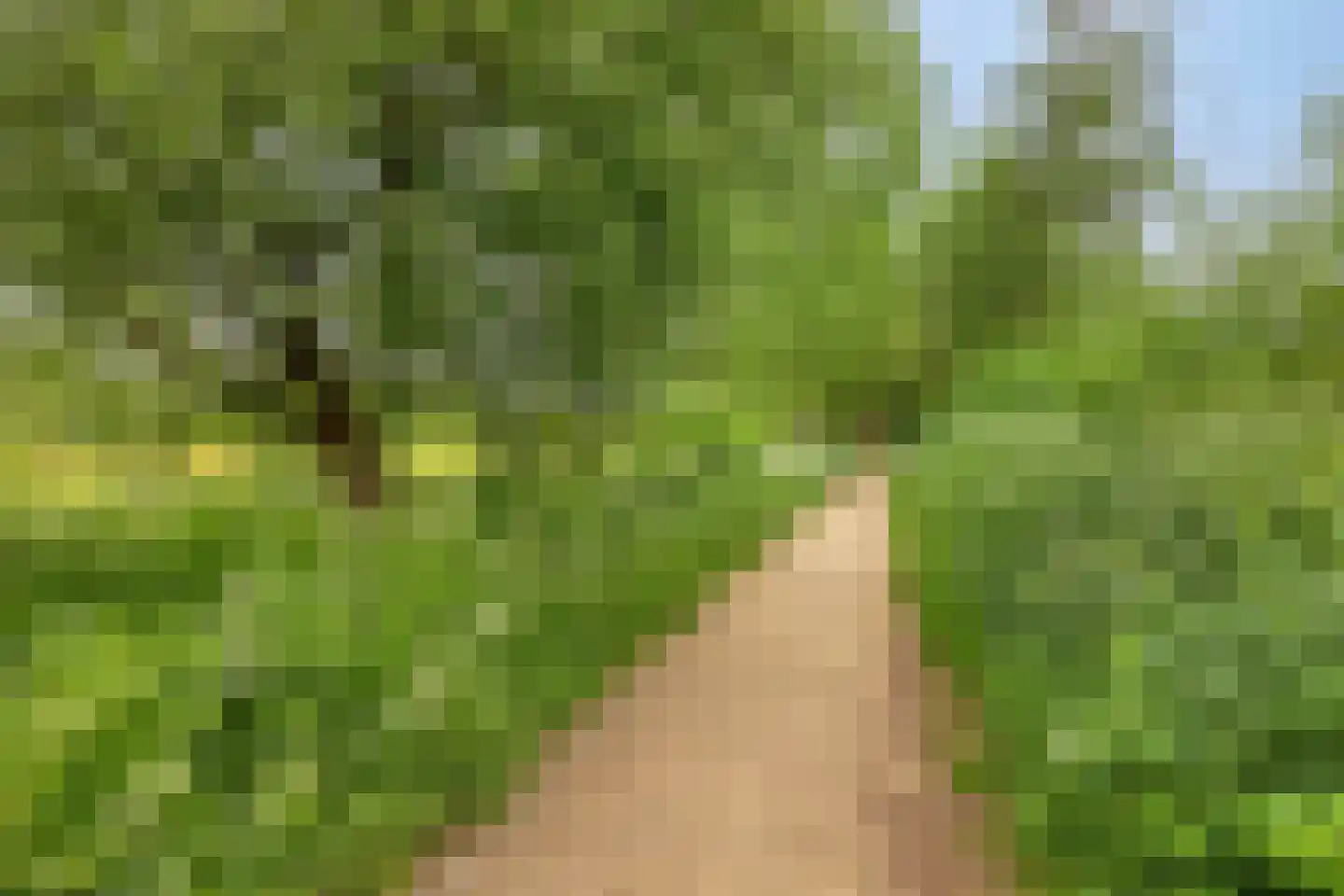 Gandhiweg 27 Gouda thumbnail 46