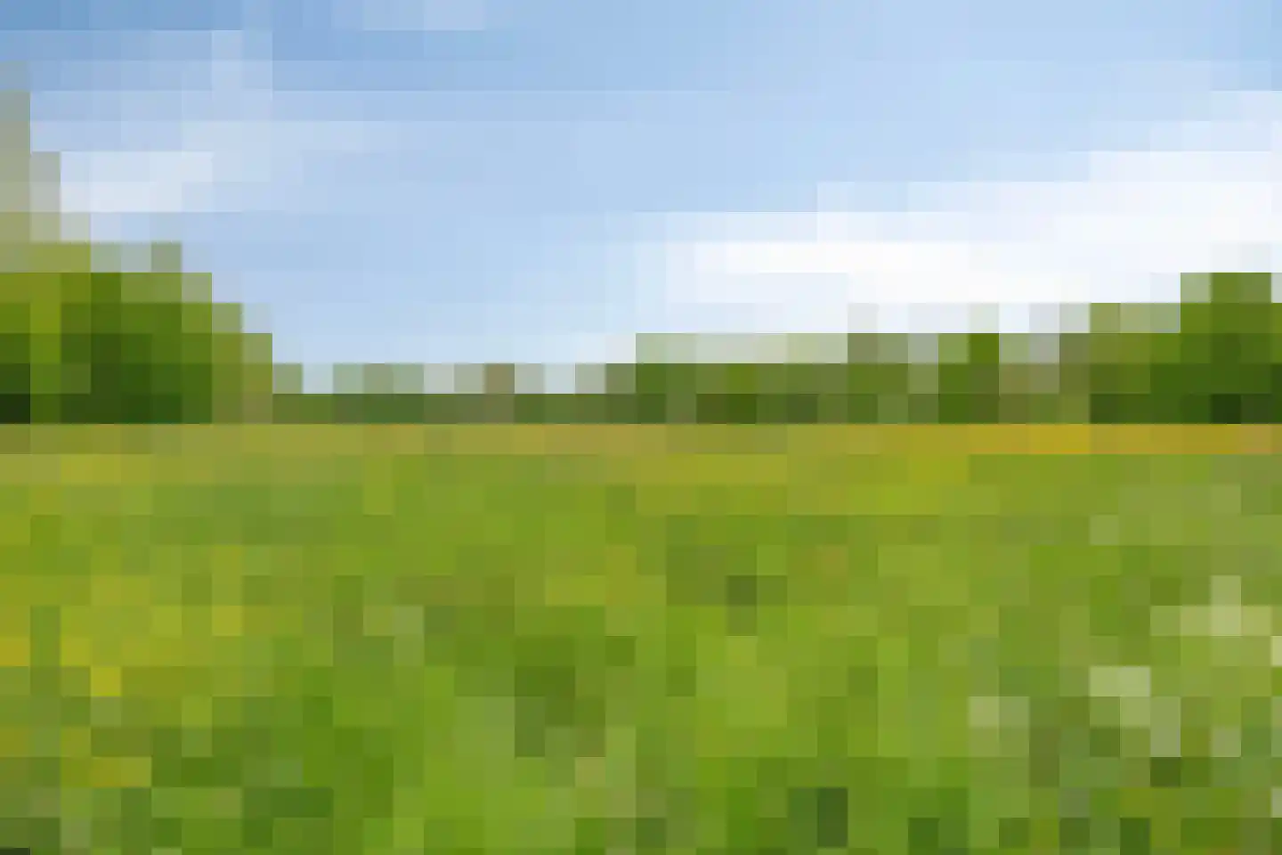 Gandhiweg 27 Gouda thumbnail 49