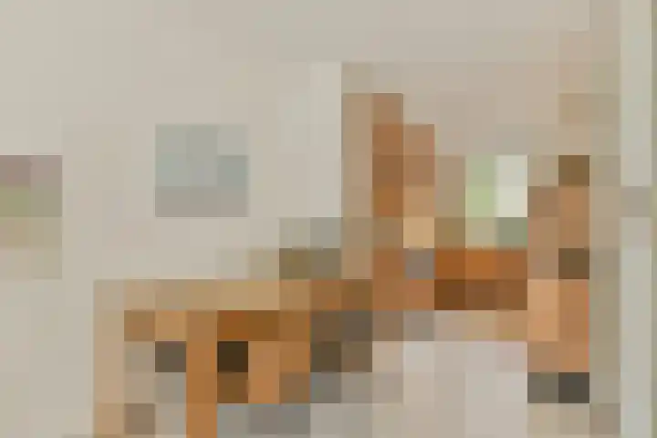 Gandhiweg 30 Gouda thumbnail 10
