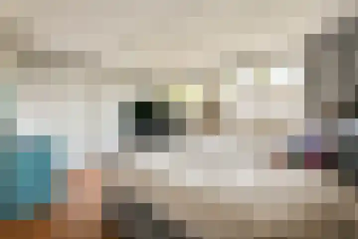 Gandhiweg 30 Gouda thumbnail 13