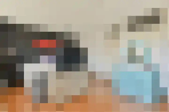 Gandhiweg 30 Gouda thumbnail 14