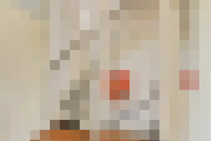 Gandhiweg 30 Gouda thumbnail 19