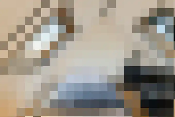 Gandhiweg 30 Gouda thumbnail 21