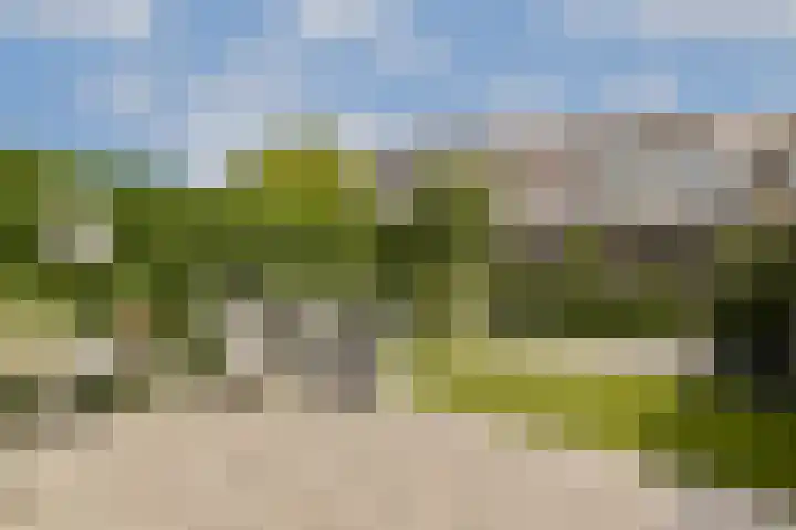 Gandhiweg 30 Gouda thumbnail 23