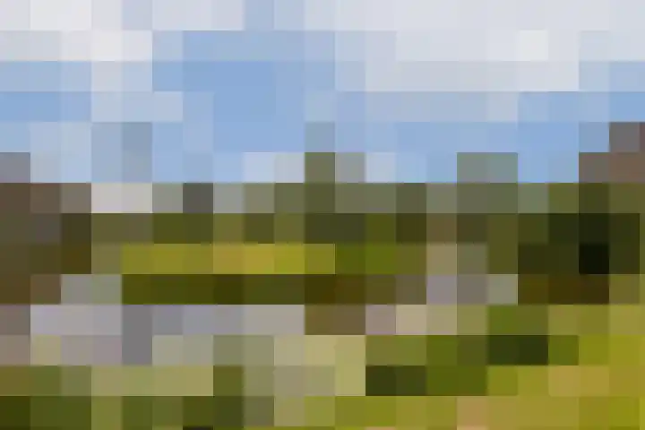 Gandhiweg 30 Gouda thumbnail 24
