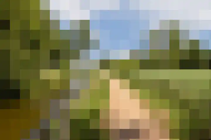 Gandhiweg 30 Gouda thumbnail 25
