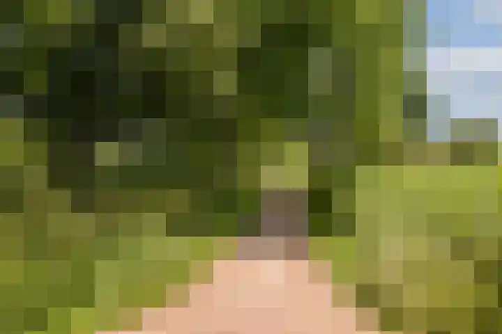 Gandhiweg 30 Gouda thumbnail 26