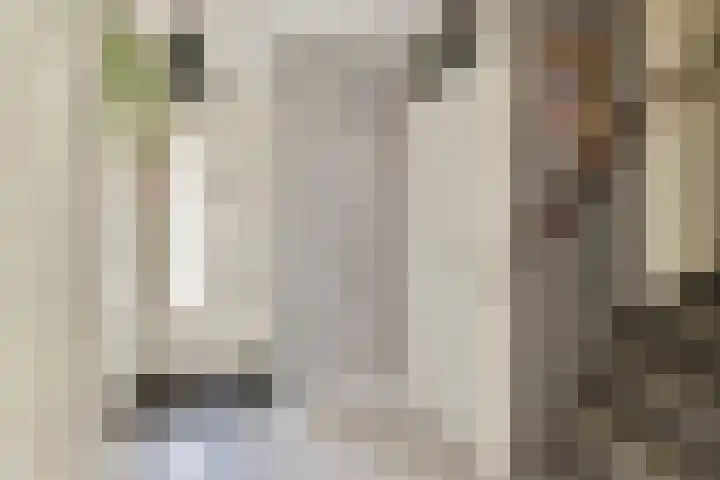 Gandhiweg 30 Gouda thumbnail 7