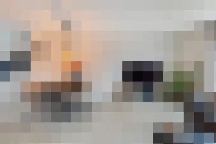 Gandhiweg 44 Gouda thumbnail 10