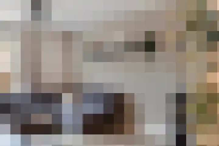 Gandhiweg 44 Gouda thumbnail 15