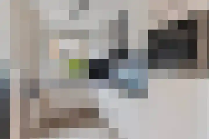 Gandhiweg 44 Gouda thumbnail 18