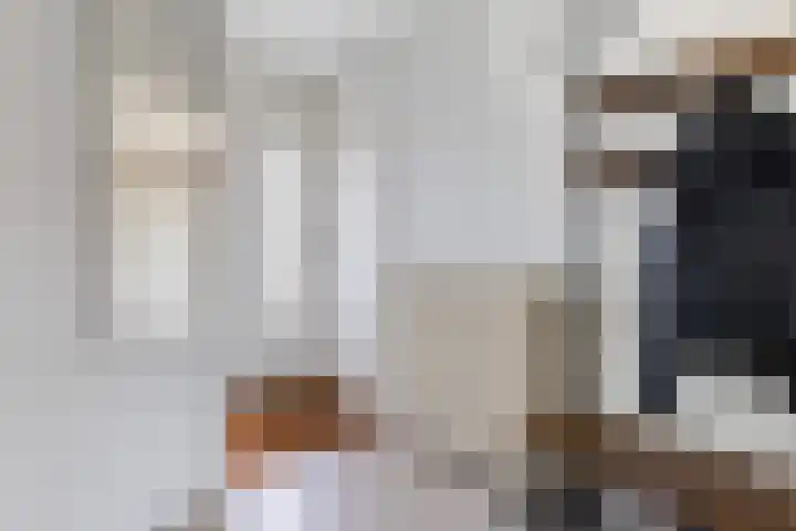 Gandhiweg 44 Gouda thumbnail 21