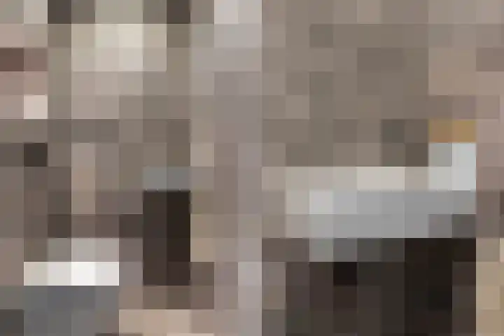 Gandhiweg 44 Gouda thumbnail 22